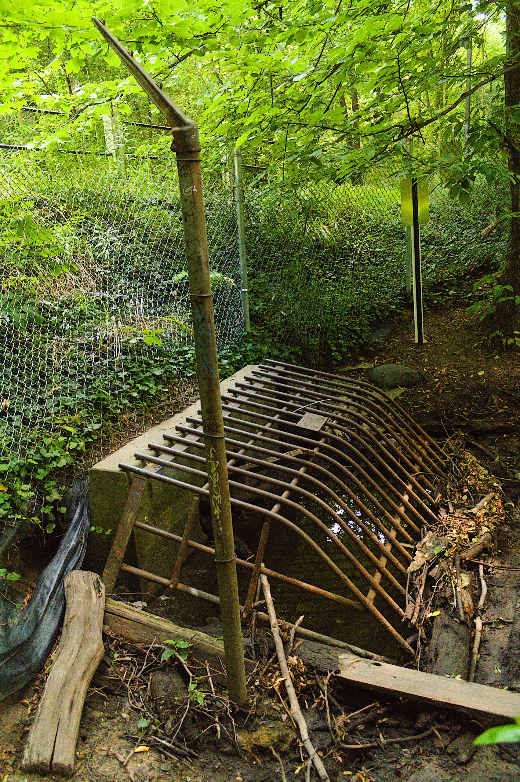 Coldbrook Creek: A Watershed Moment